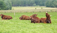 Ekologické zemědělství v ČR